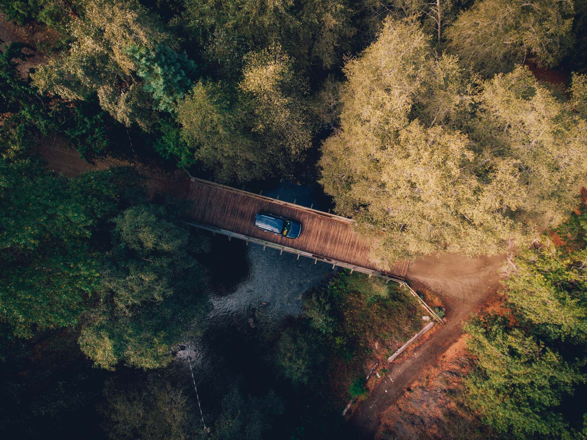 Big Sur Road Trip, by Richard Nolan